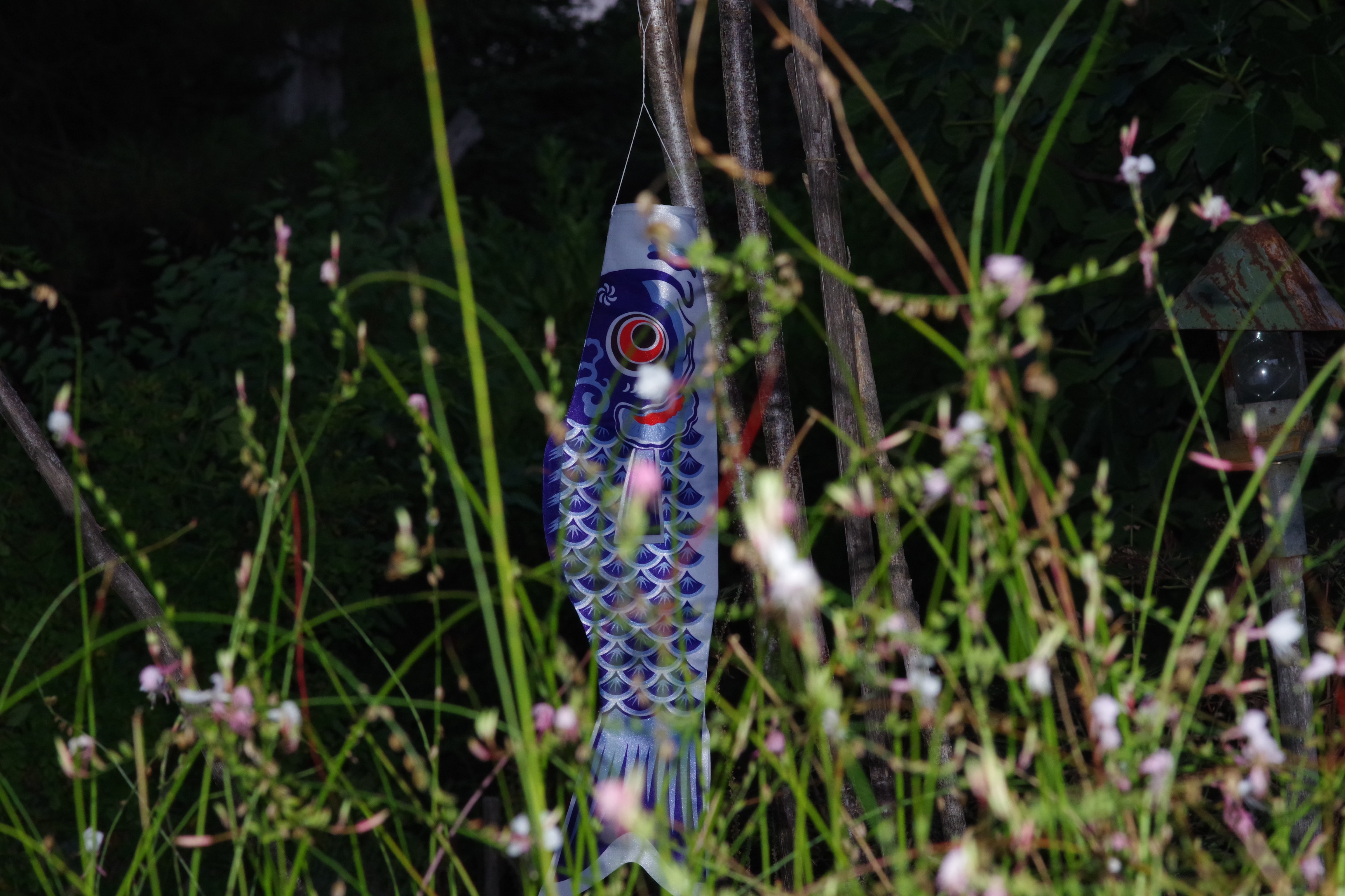 Il tuo Animale Totem